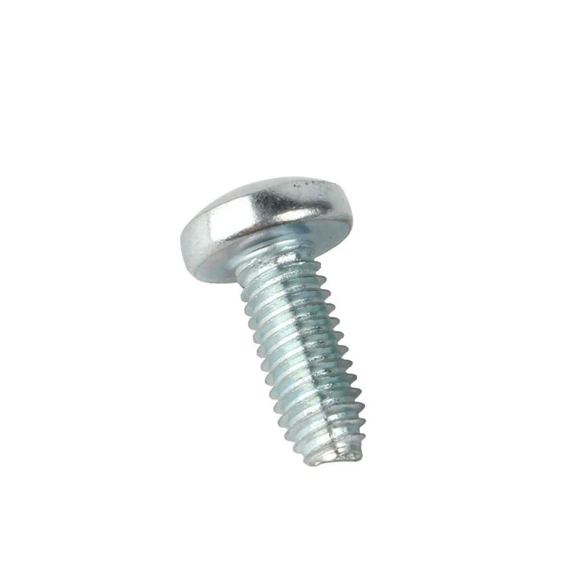 Hinge Screw